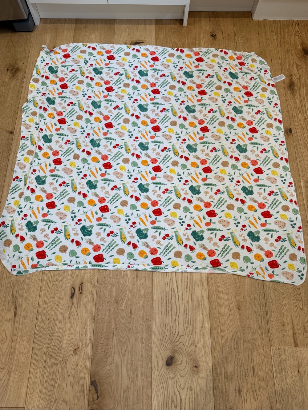 Vegetable and fruit Print 45x45 viscose blanket